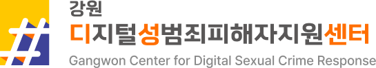 Gangwon Regional Center for Digital Sexual Crime Response